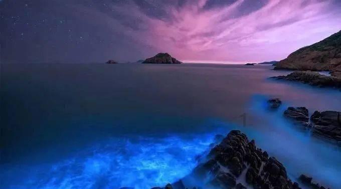 石油骚动