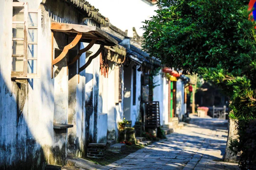 禅宗花园